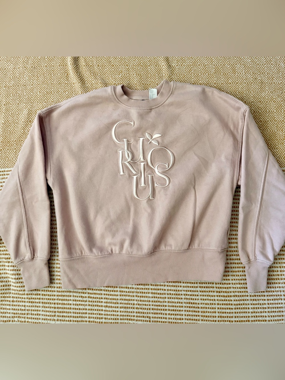 H&M Dusty Pink Embroidered Graphic Sweatshirt Curious XS